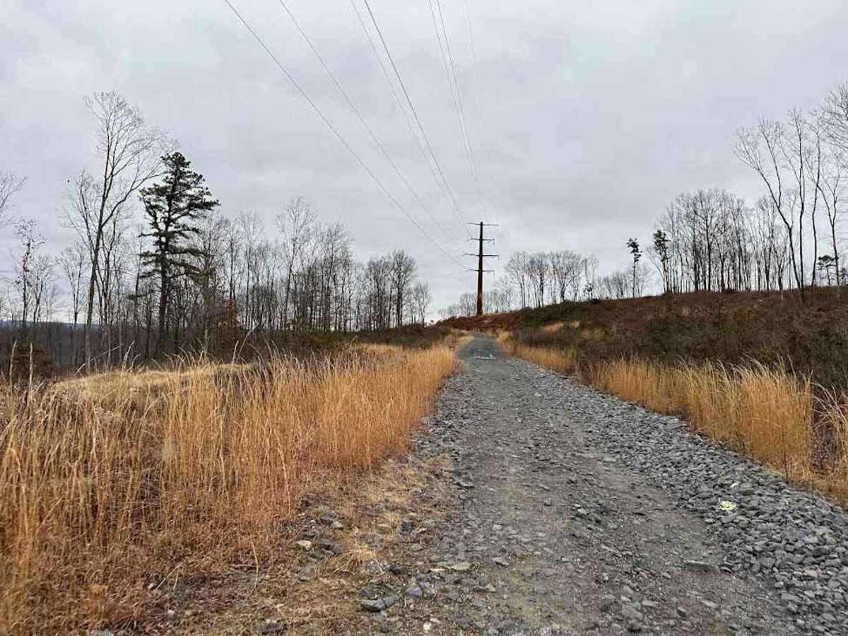 Power Line Vista Trail photo 3