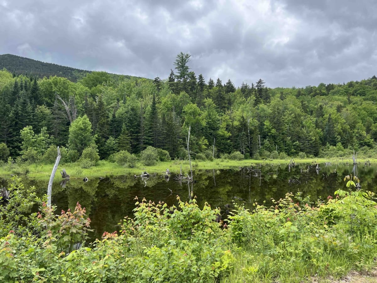 East Branch Saco River photo 3