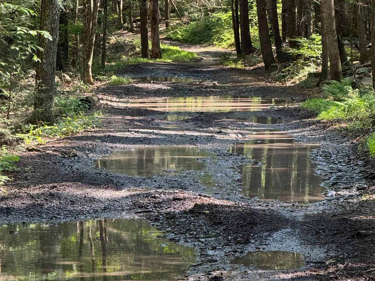 Lundy Road trail photo