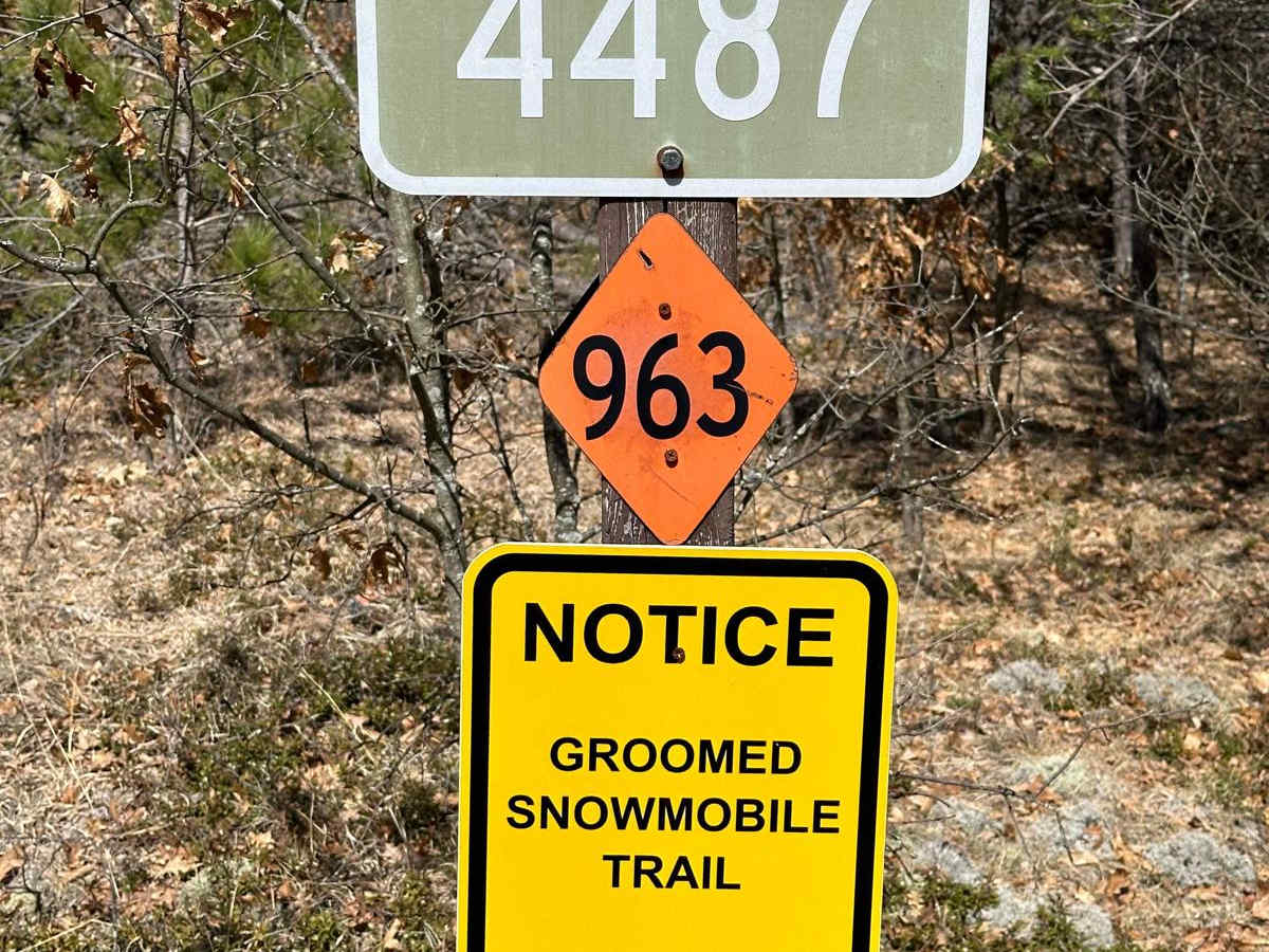 FS 4487 trail photo