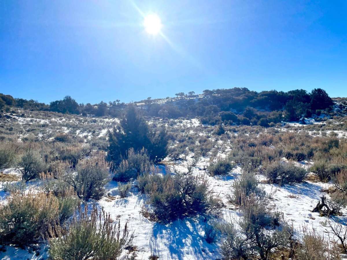 Gunsight Pass photo 2