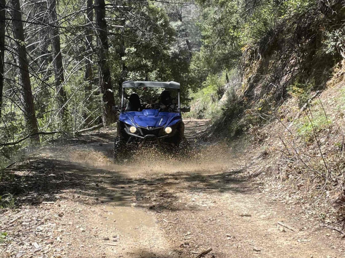 Midway Ridge trail photo
