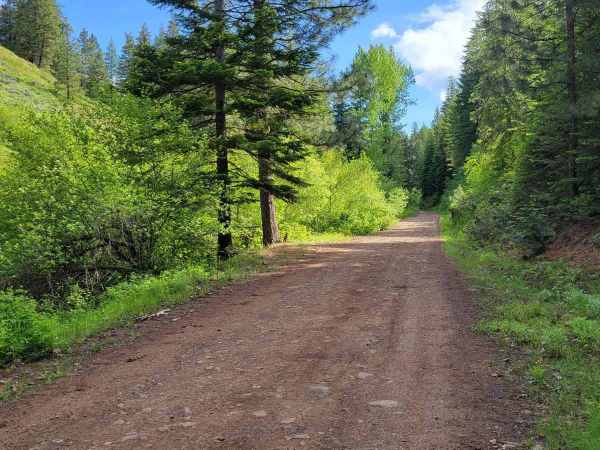 FR 573 - Hitt Creek photo 4