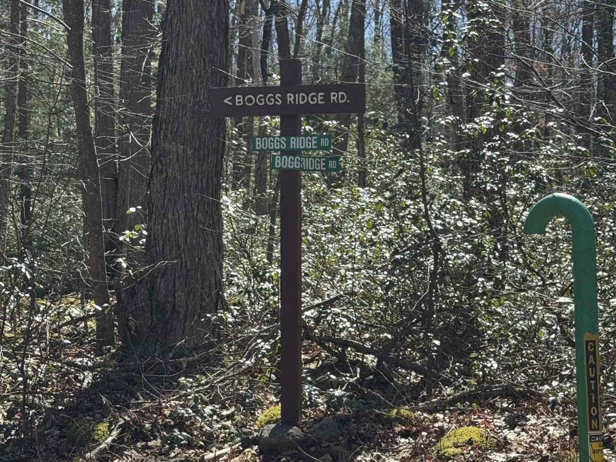 Boggs Ridge Road trail photo