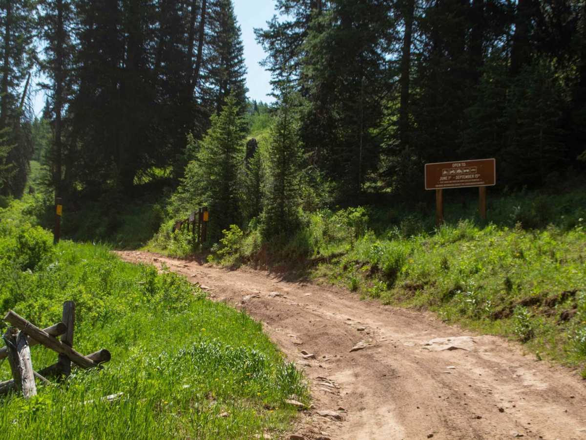 Baldy Wheeler Road photo 2