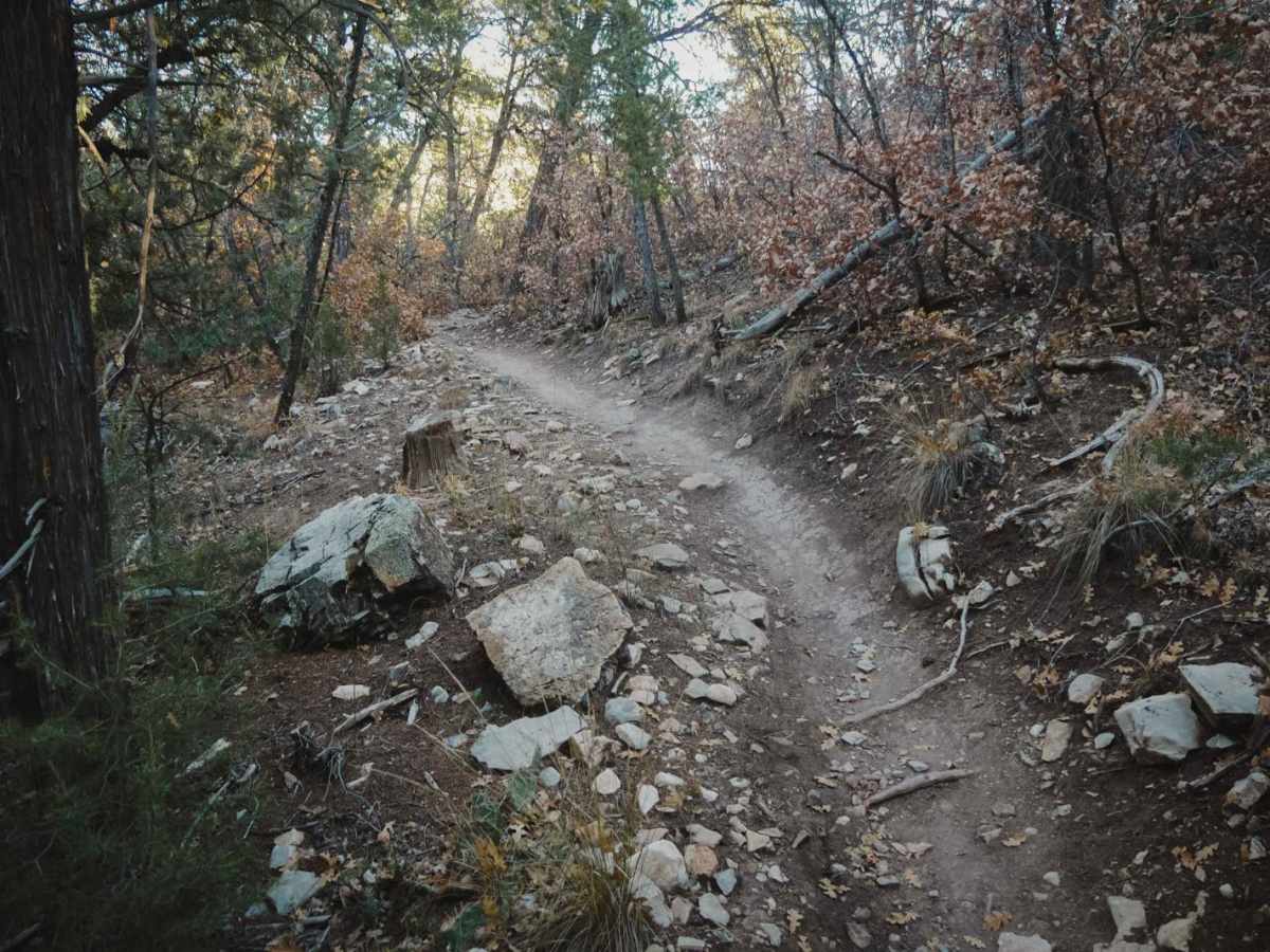 West Ridge photo 6