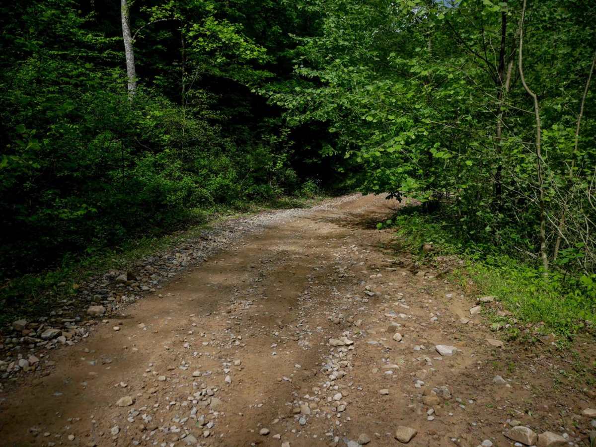 RH 25 photo 6