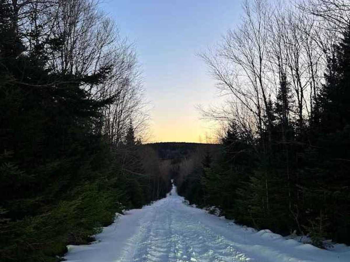 Beeswanger Trail photo 5