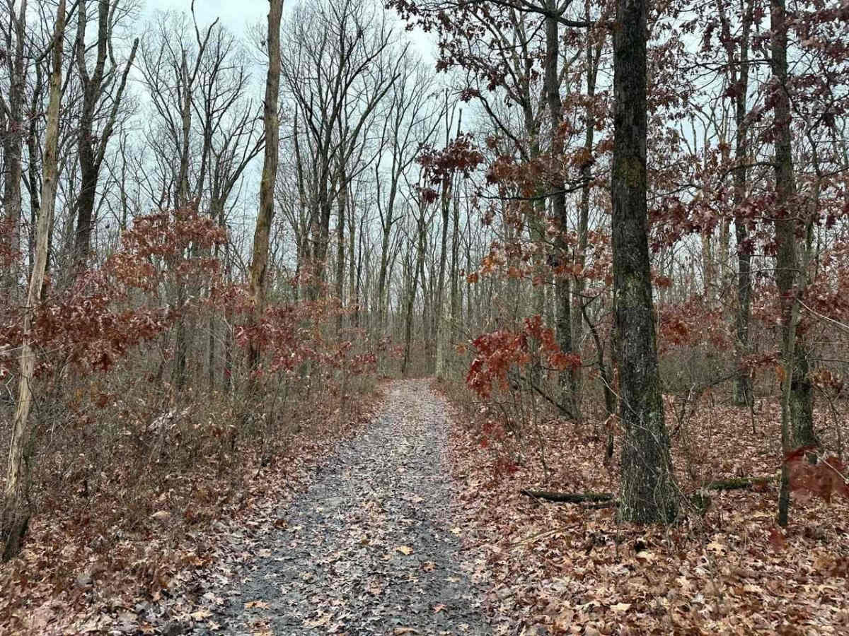 ATV Trail 43 photo 5