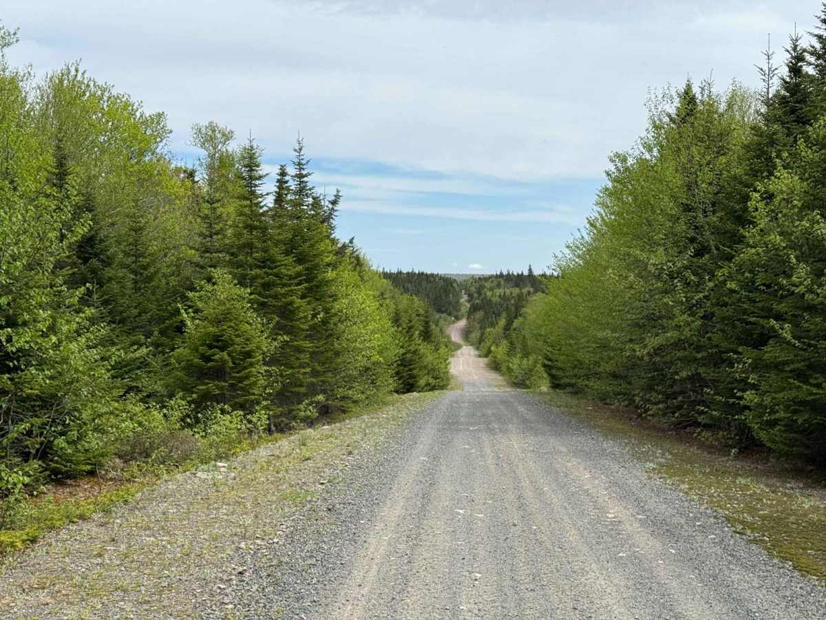 Trout Brook Road photo 4
