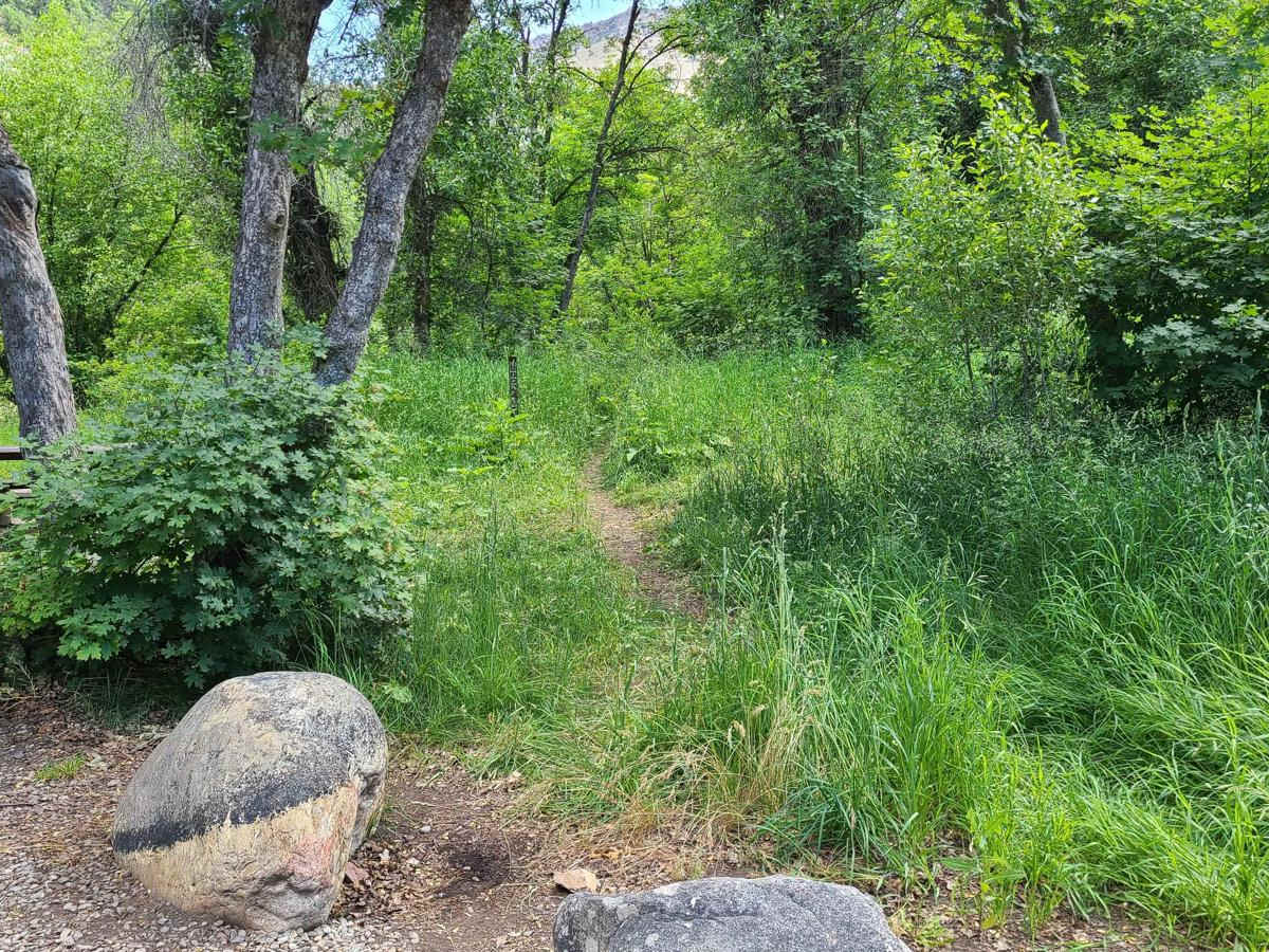 Lowline trail photo