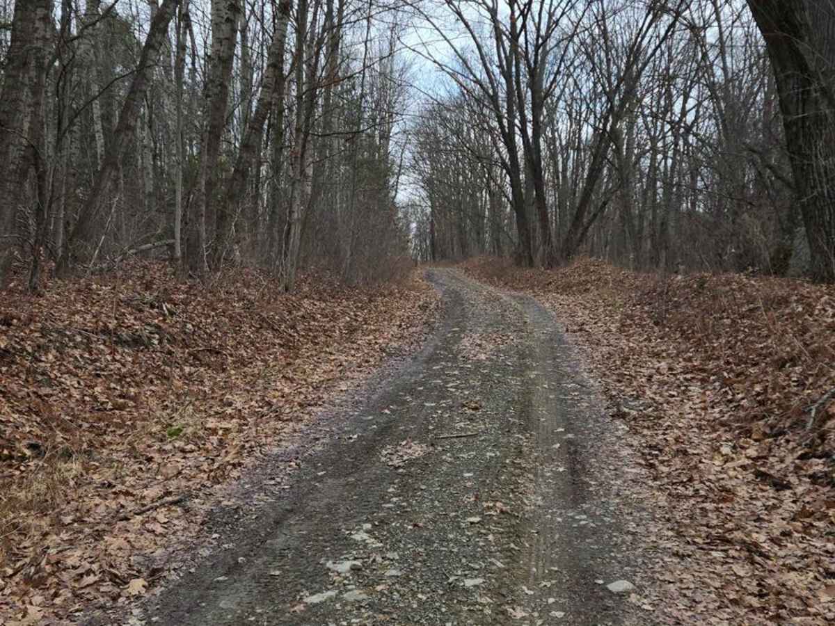 Bigelow Hill Road photo 2