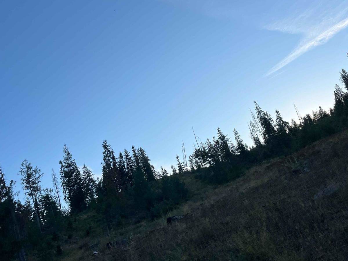 Moose Creek Spur photo 5