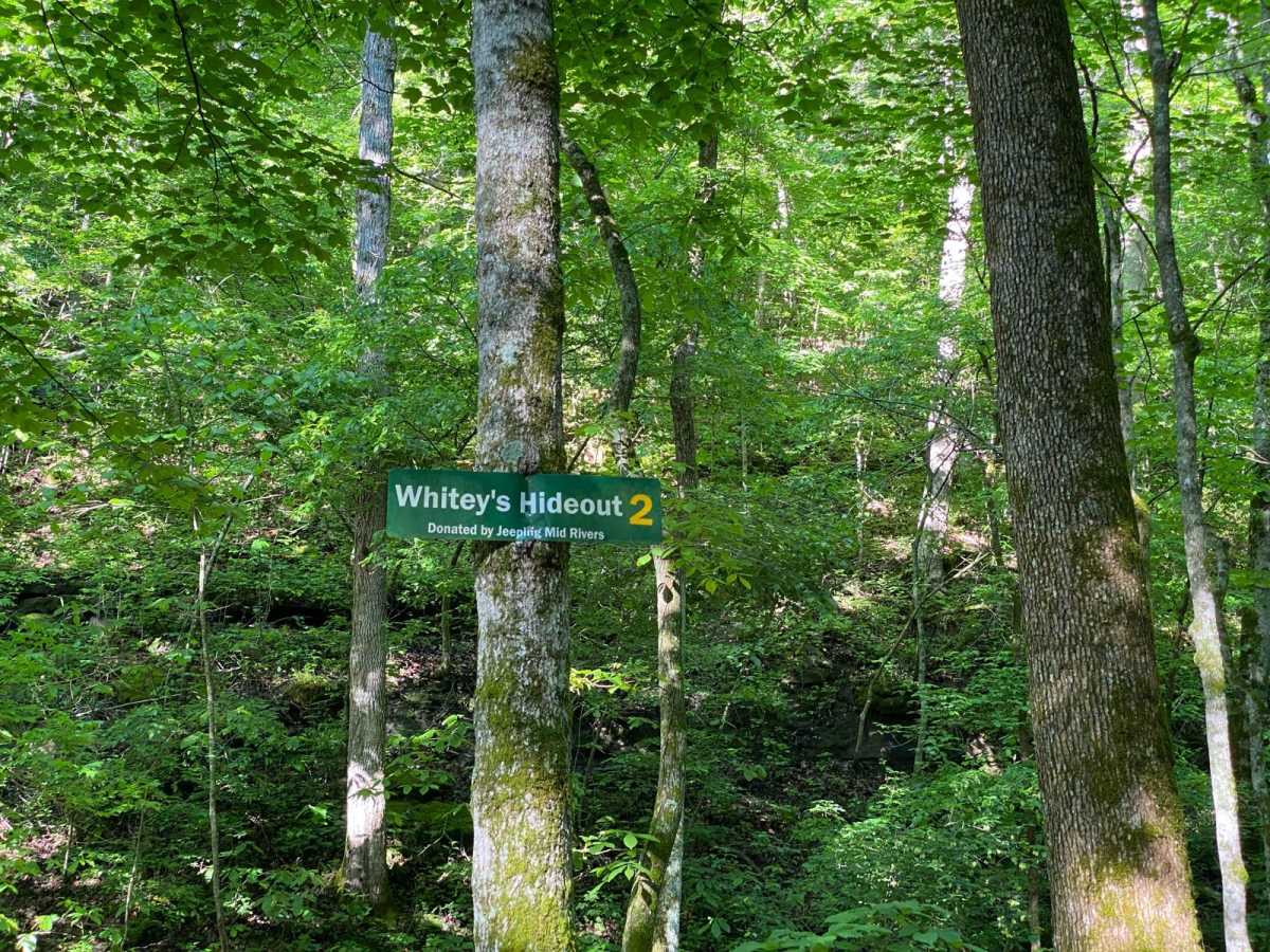 Whitey's Hideout photo 4