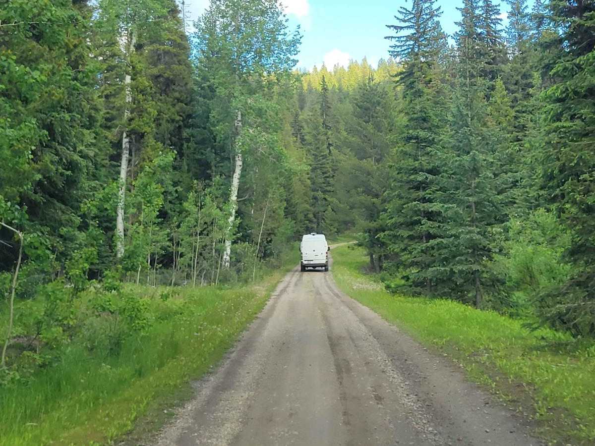 Cougar Creek Road photo 3