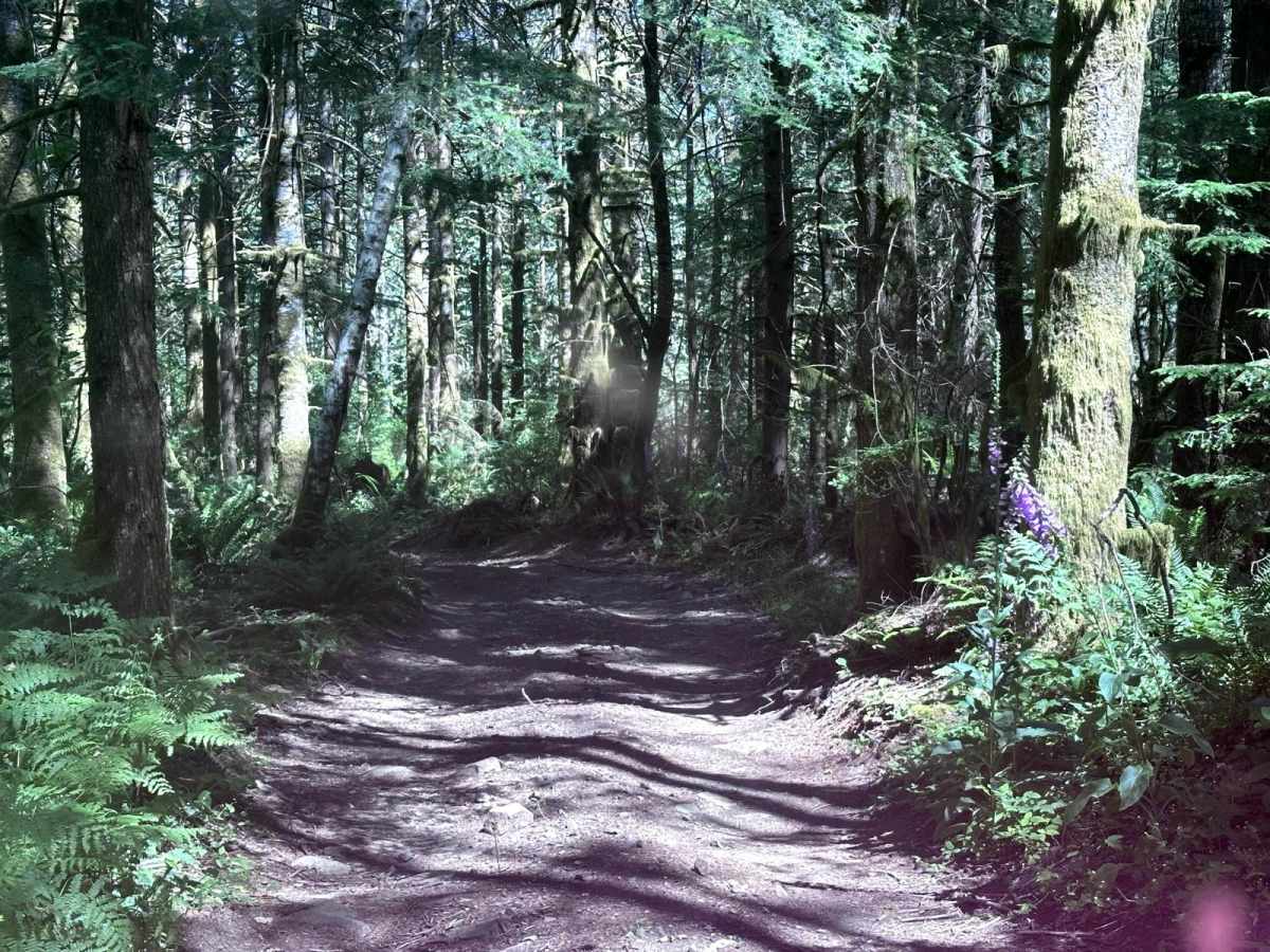 Wandering View photo 6