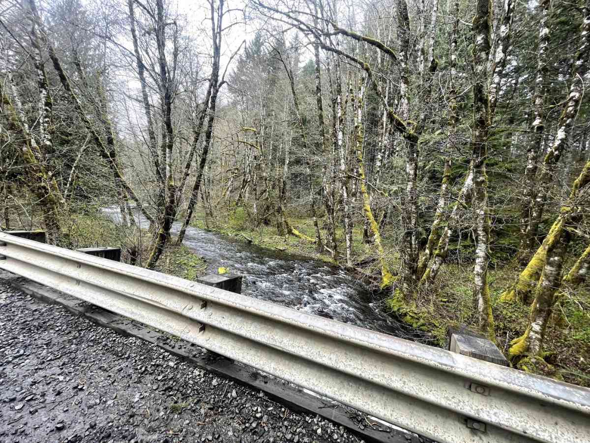 Cochran Train Trestle photo 5