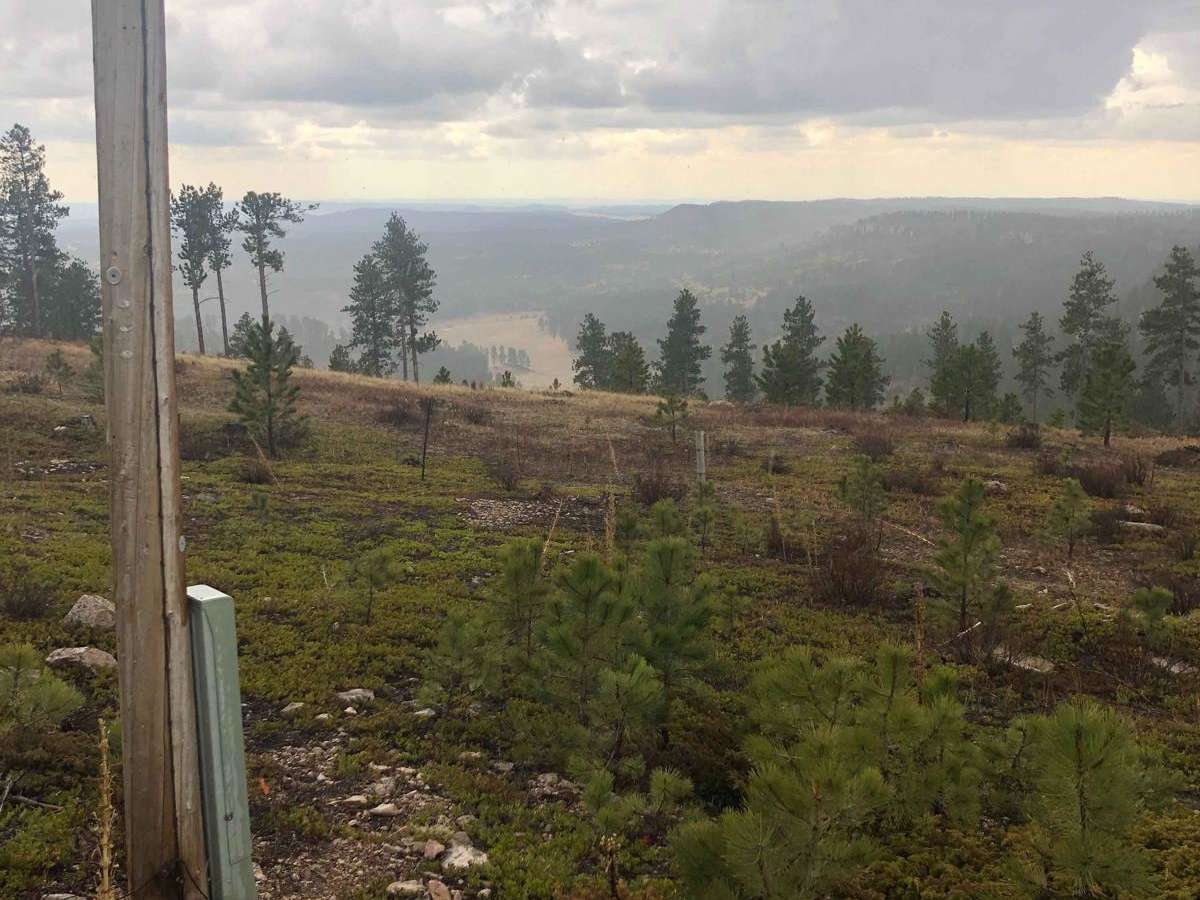 Bear Mountain Lookout photo 3
