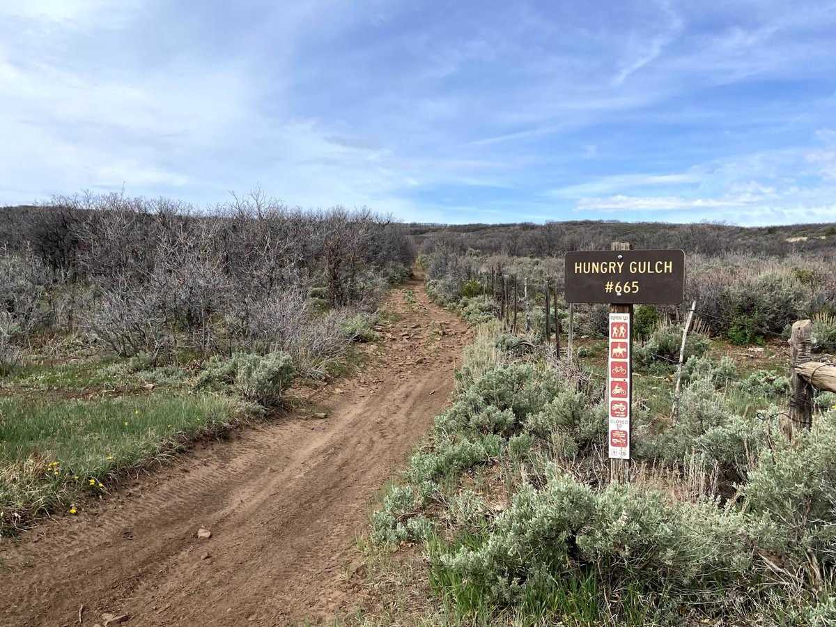 Hungry Gulch trail photo