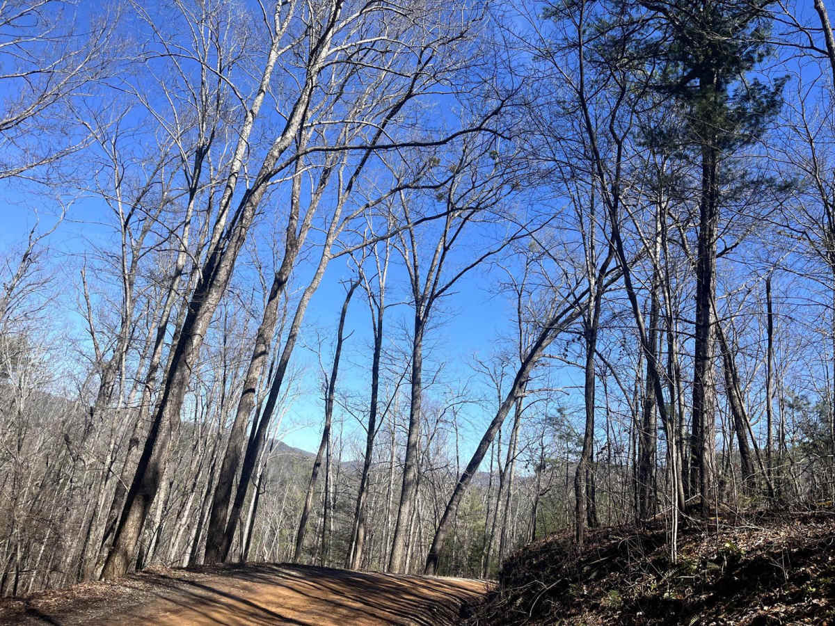 Citico Creek South photo 4