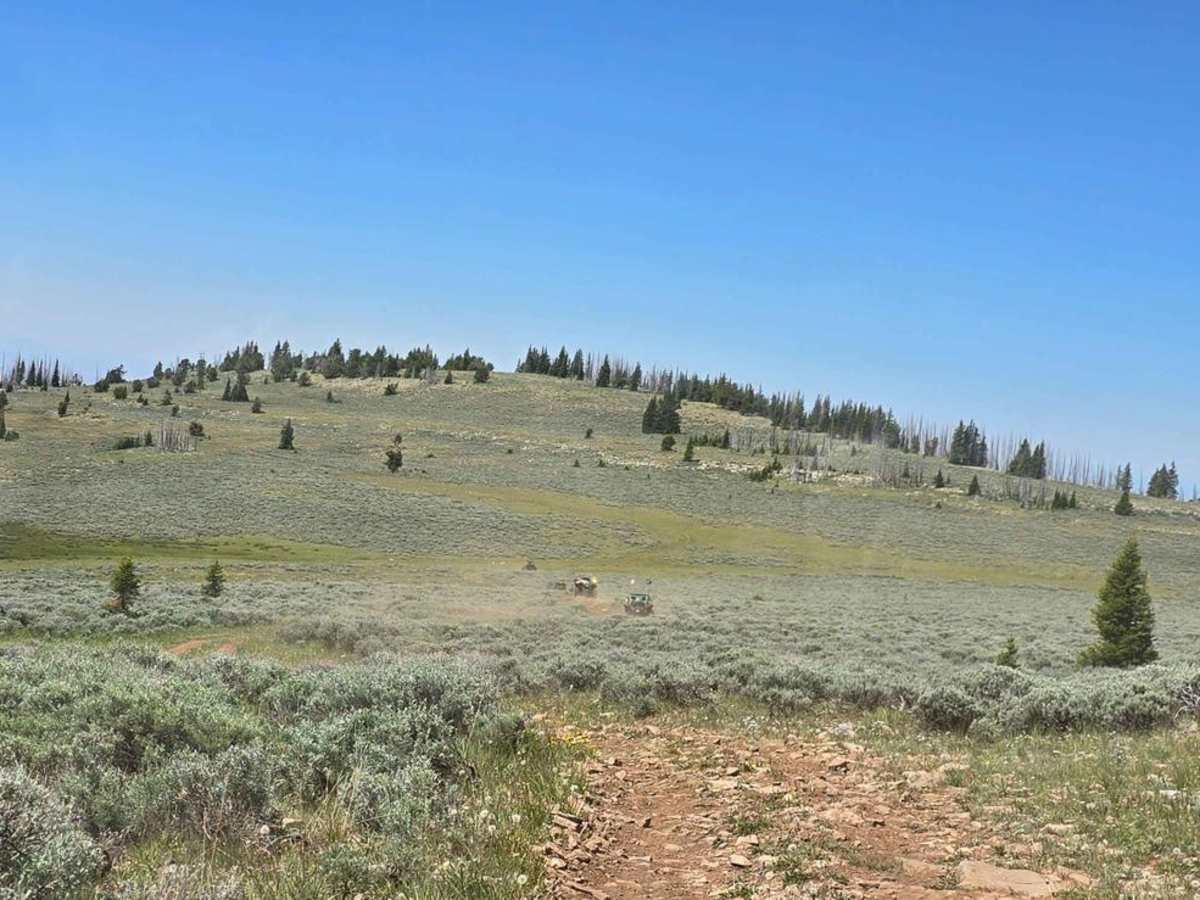 Grouse Creek (FSR 205) photo 3