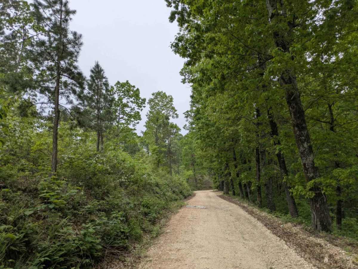 1102 trail photo