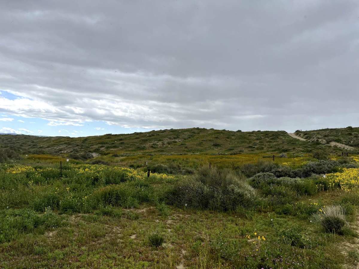 Elkhorn Road photo 6