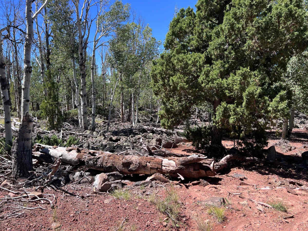 Birch Spring Pass Creek - BLM32000.3 photo 6