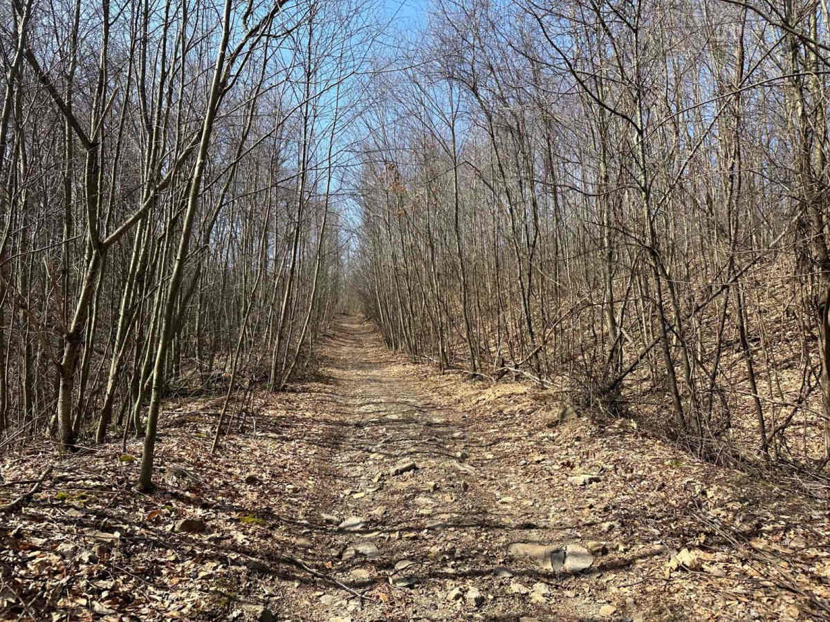 Ashland 112 photo 6