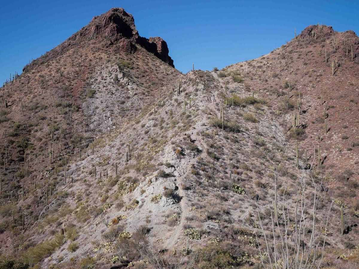 Picacho Peaks Singletrack photo 5