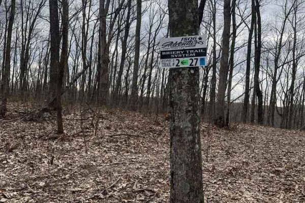 Trail 2 - High Ground