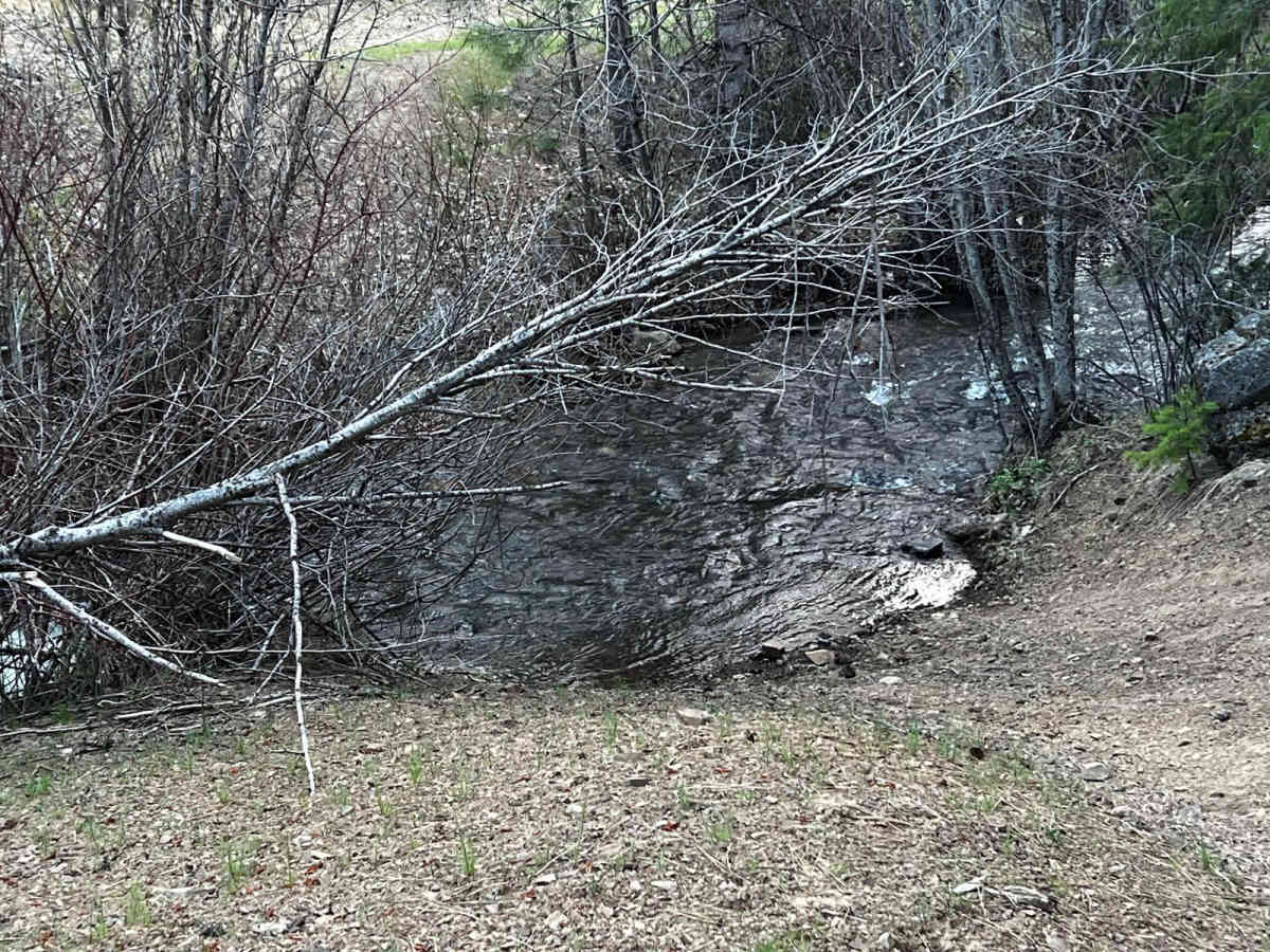 Lower McKay Creek Road to West Fork Mill Creek Road photo 4