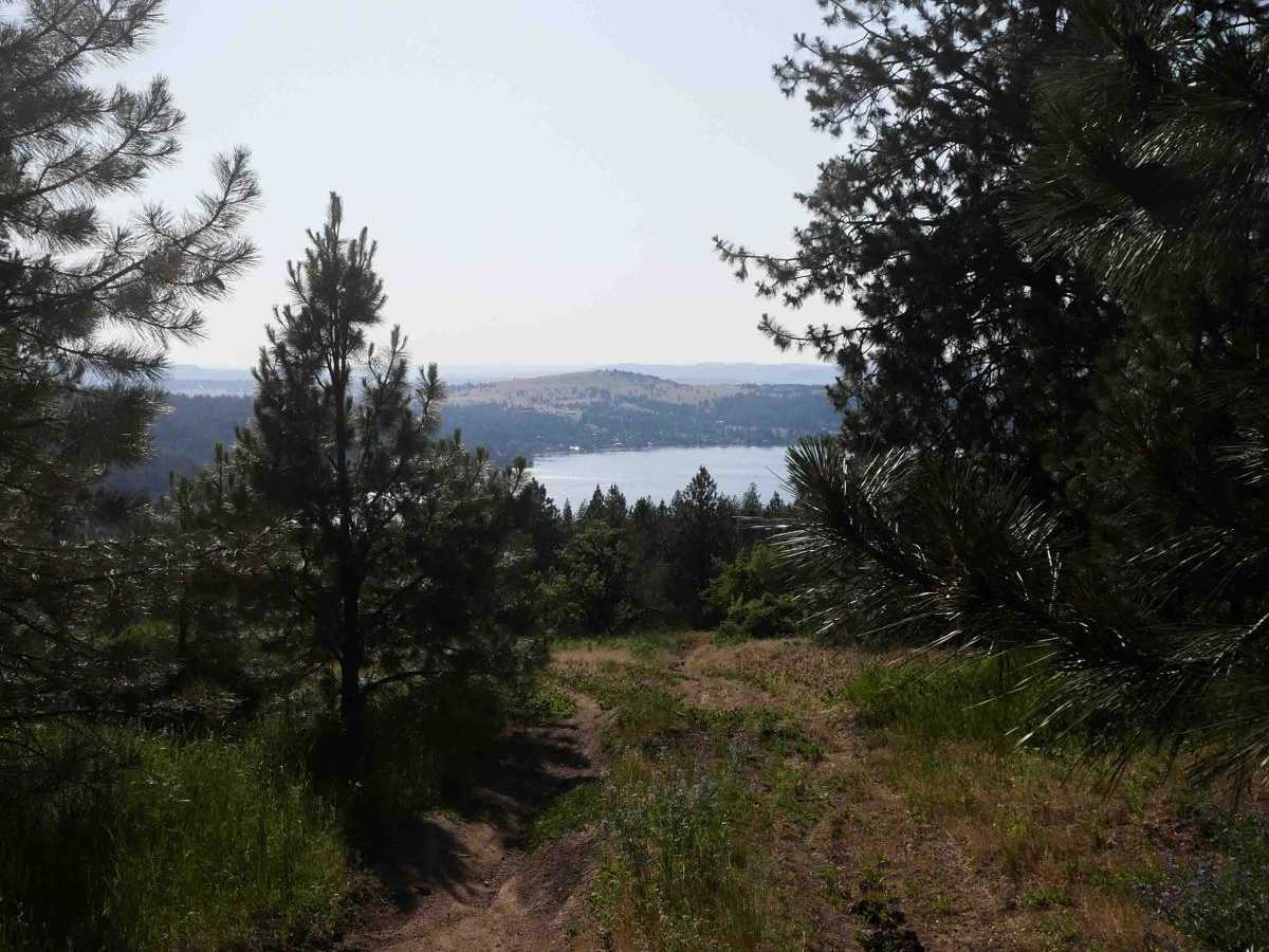Lake View photo 3