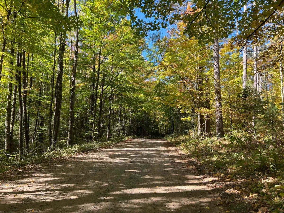 Trail 16 Tower Road photo 2
