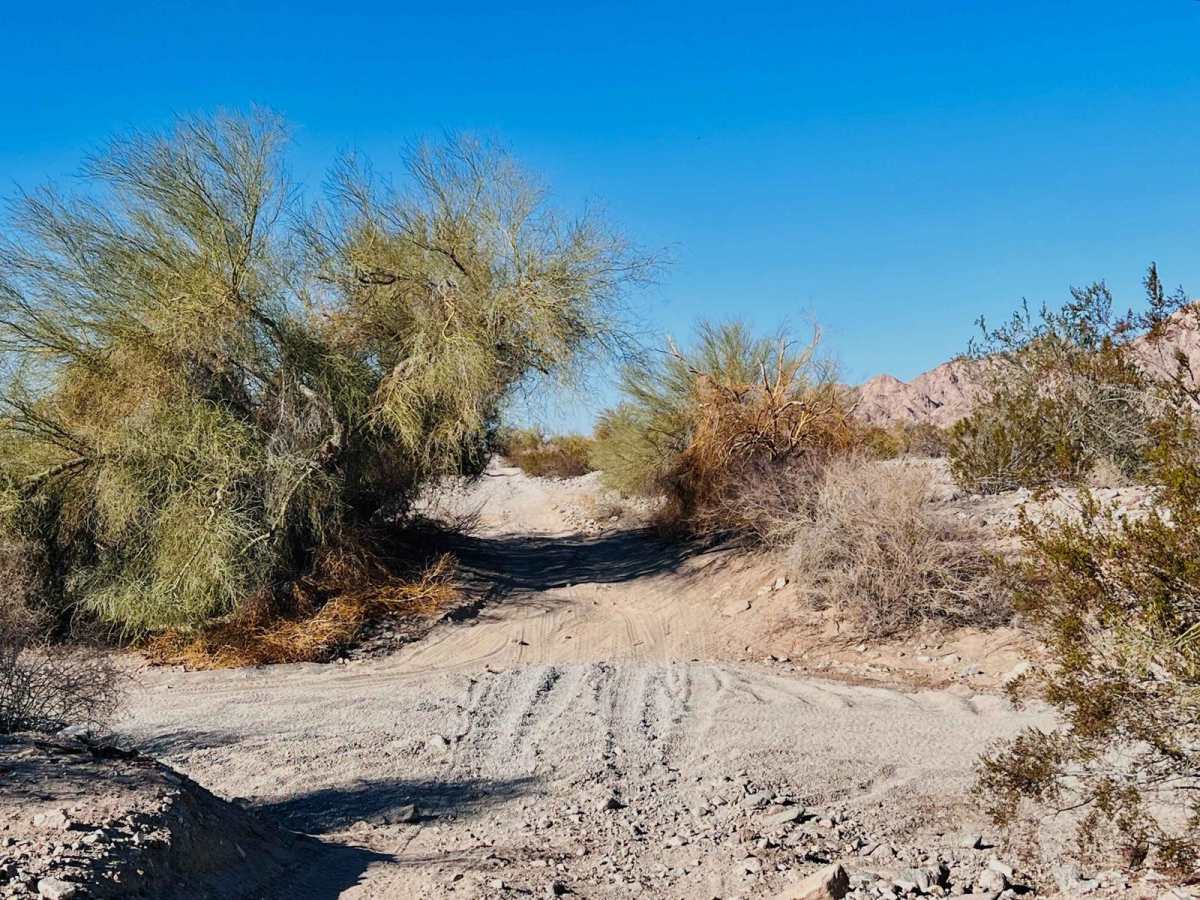 BLM Access Route photo 4