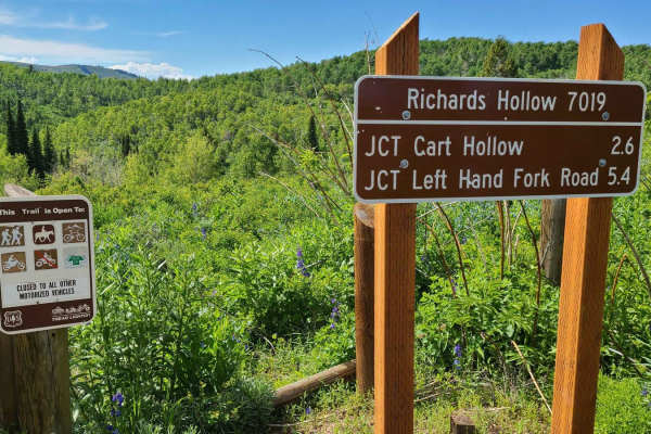 Richard's Hollow