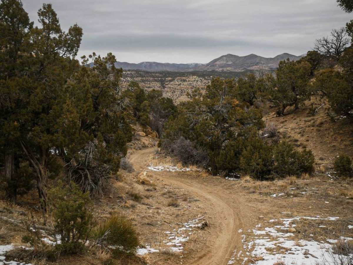 Sarlacc Trail trail photo
