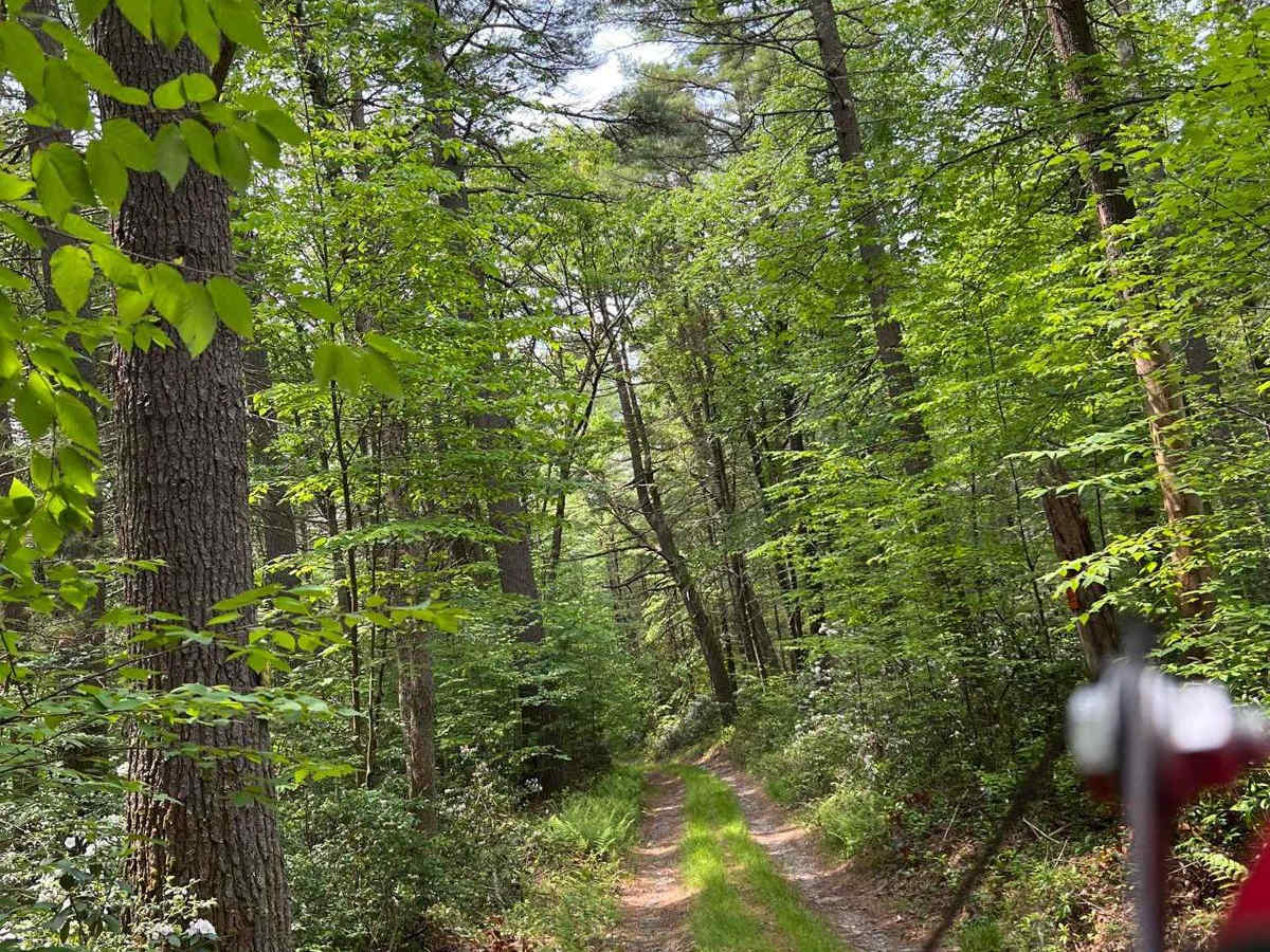 King Road trail photo