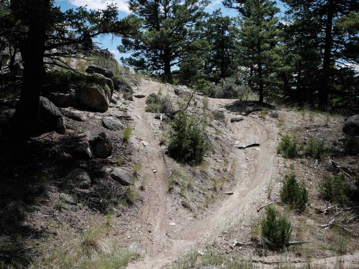 BLM 11 photo 5