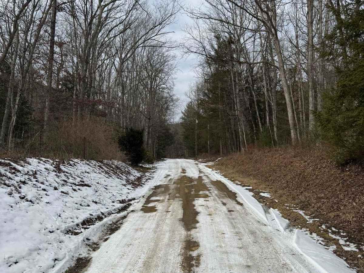 Jones Mountain Road photo 6