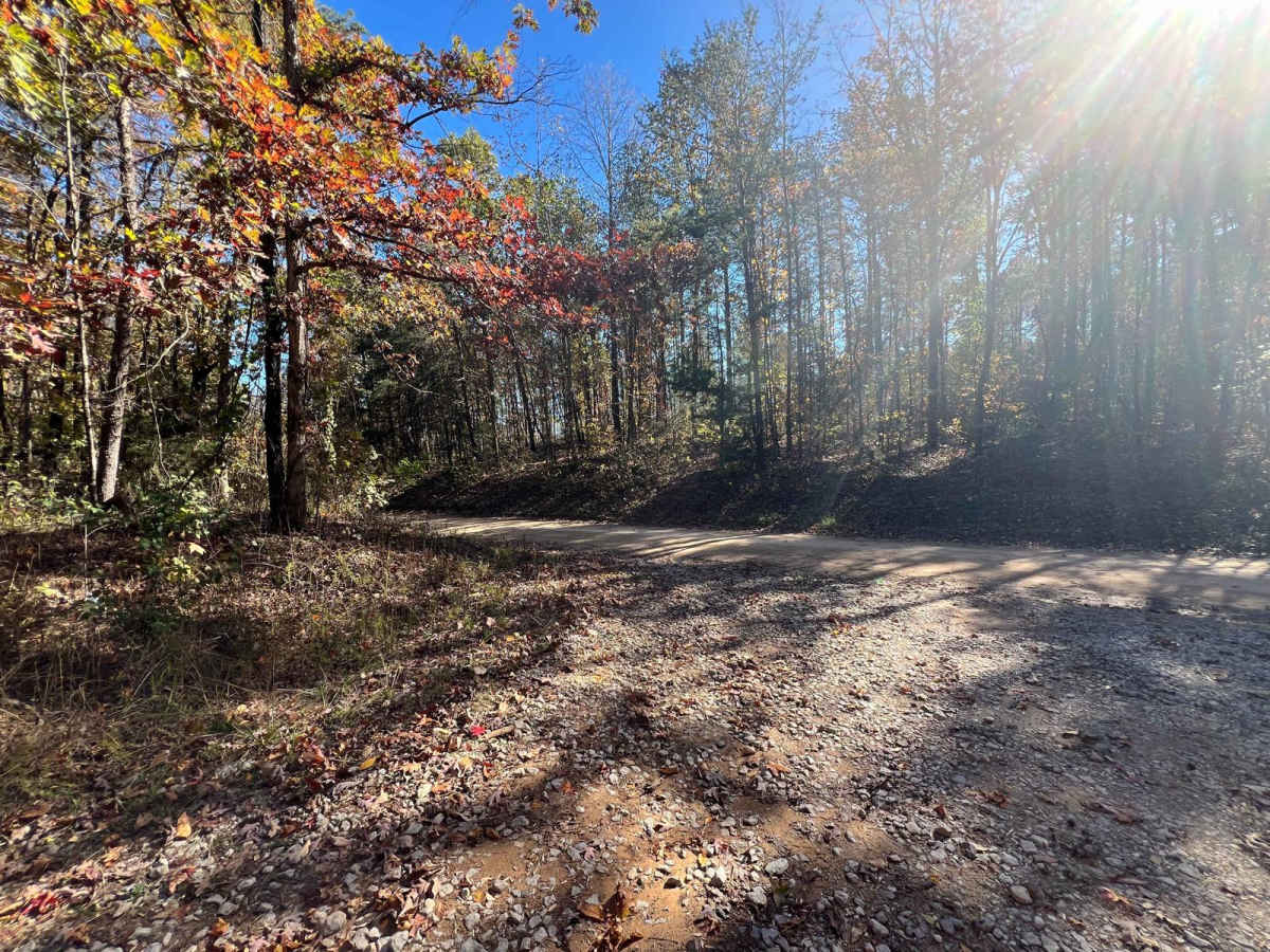 Flat Mountain Road - FS 270C photo 2