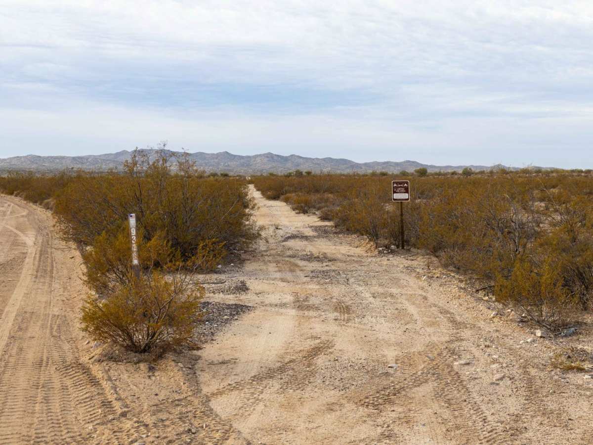 Mountain View Camp trail photo