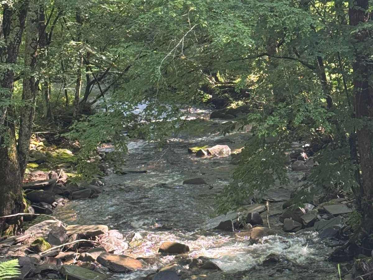 River Road photo 5