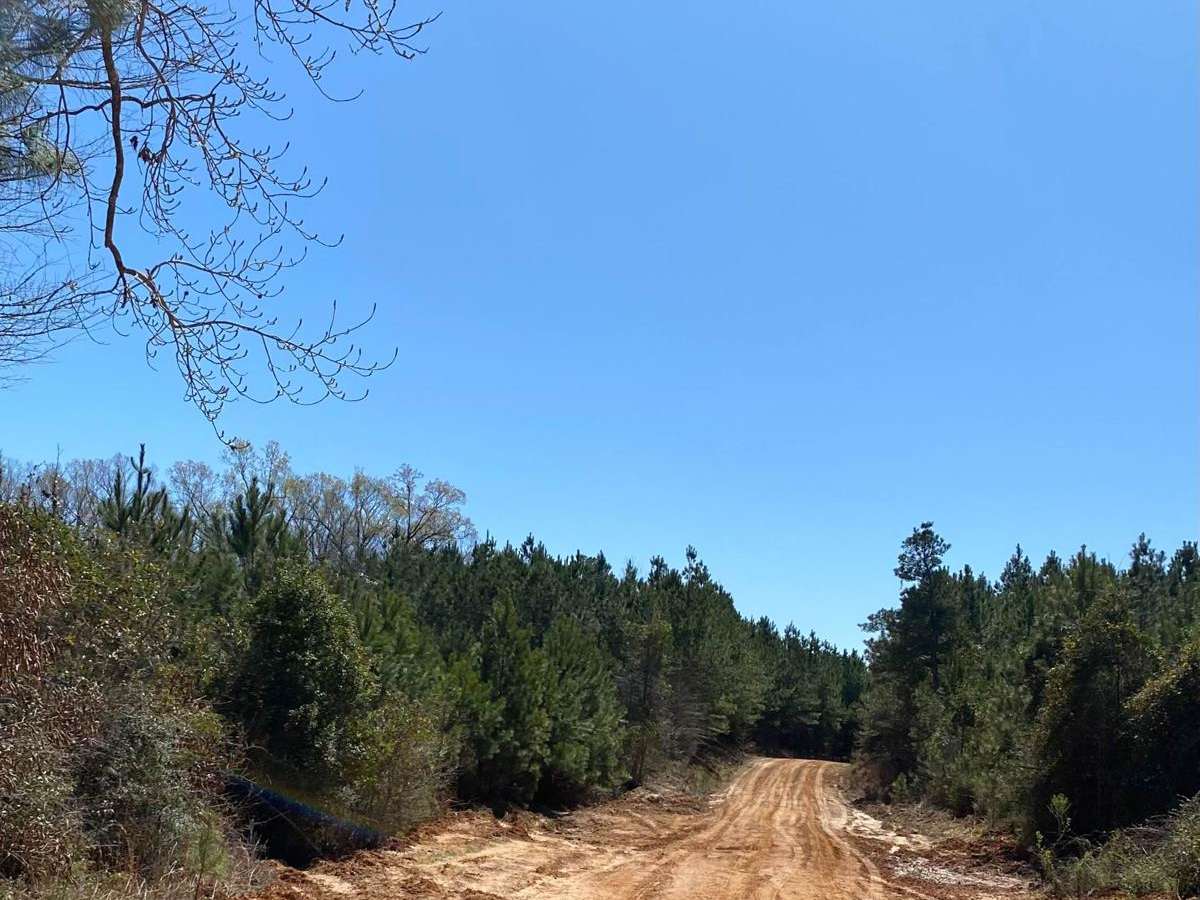 Jake Anding Trail photo 5