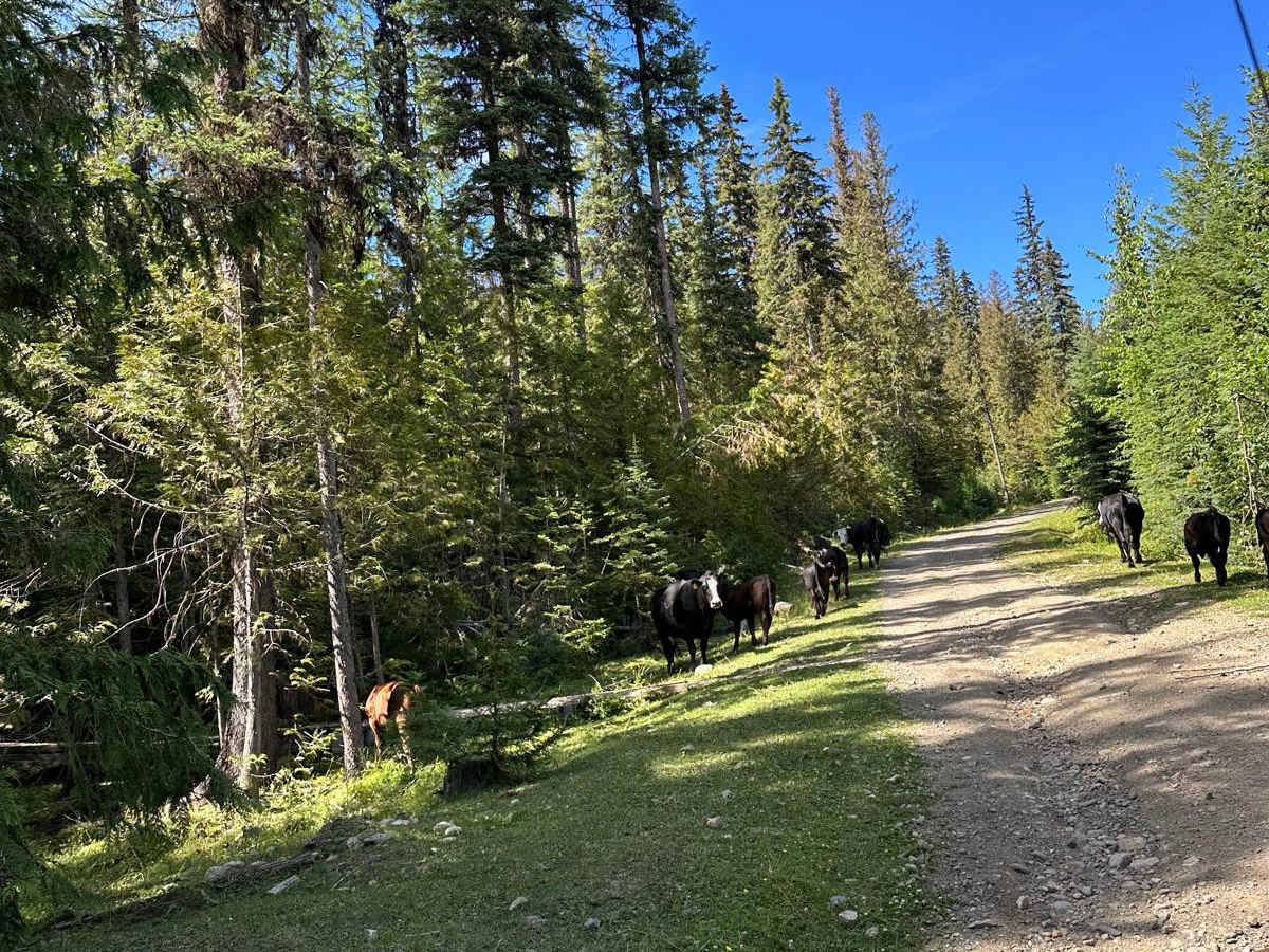 North Becker trail photo