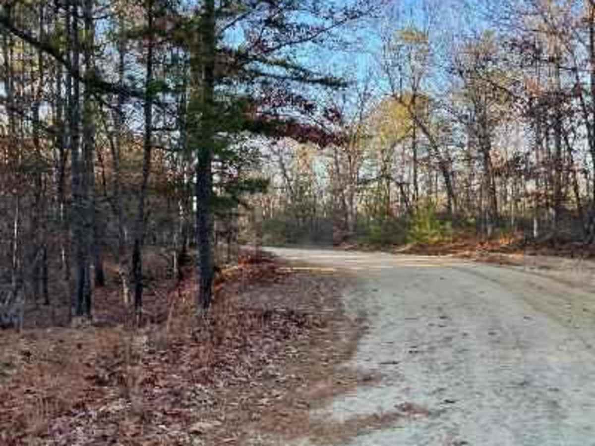 Make Peace Lake Road photo 2