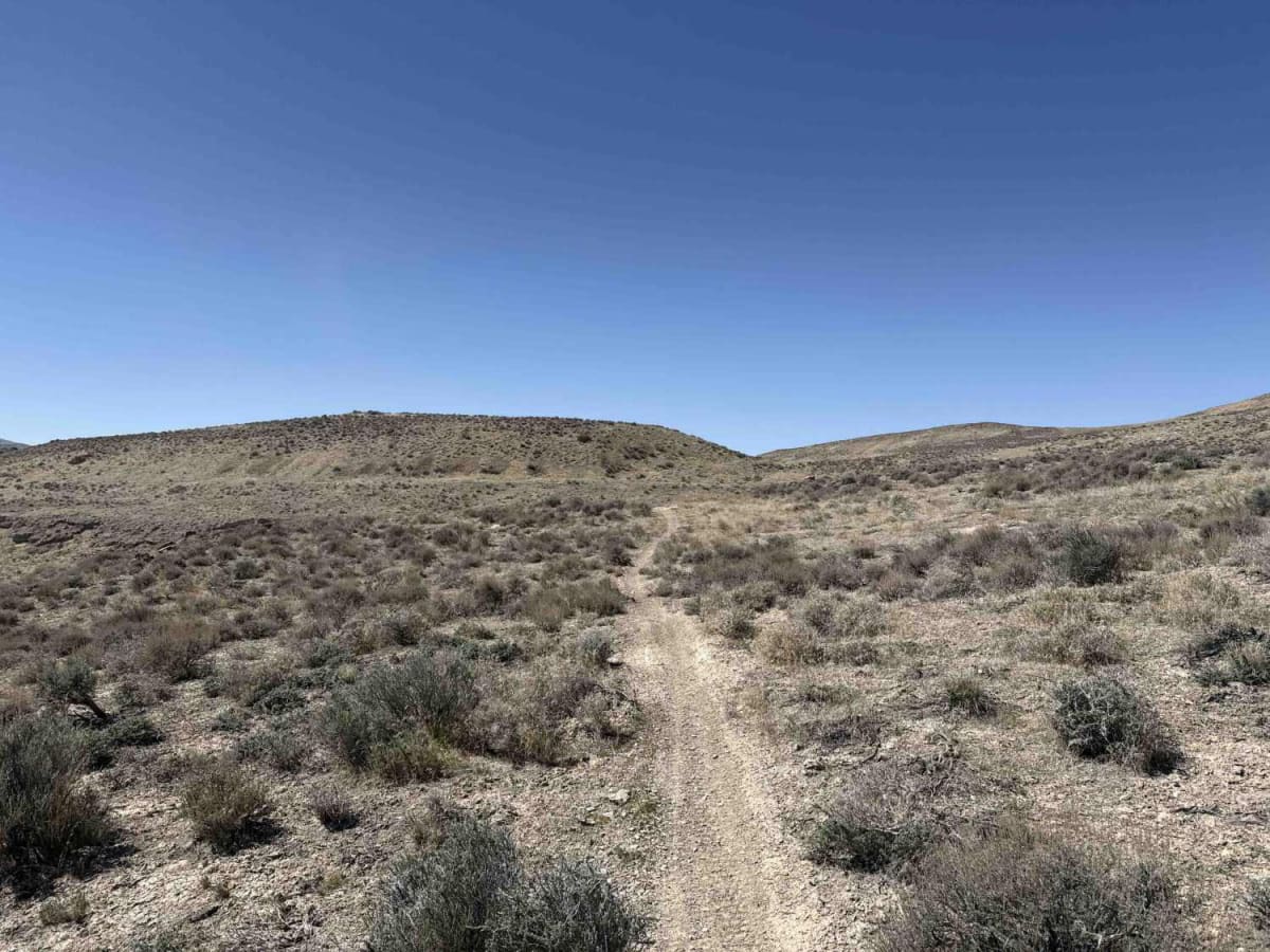 East Magic Mountain photo 3
