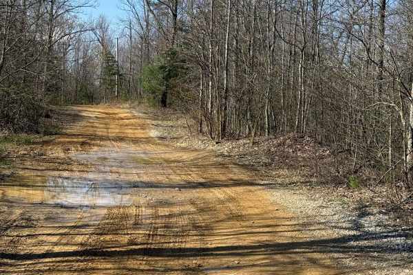 Trail 12