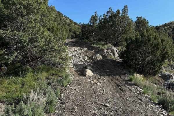Lake Mountain Trail
