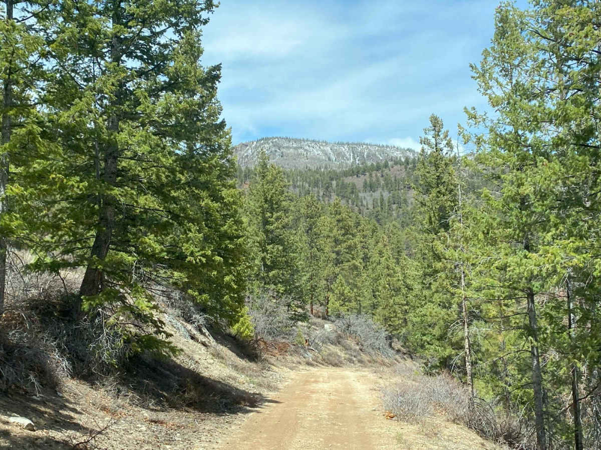 Mitchell OHV/Mitchell Spring photo 5